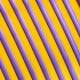 Panchroma PLA DUAL SILK plastic - Sovereign Gold-Purple